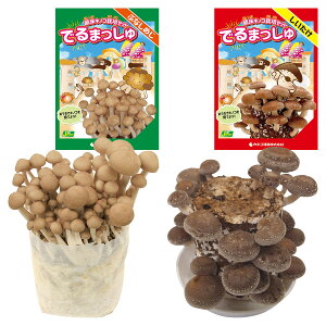 ۏLmR ͔|Zbg ł܂ ԂȂ߂  i햼 ۉ1 JlRc ̂ ͔|Zbg  ͔|Lbg  ͔|