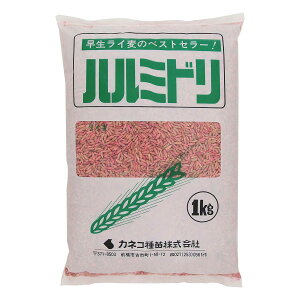 緑肥 ライムギ ハルミドリ 1kg カネコ種苗 緑肥ライ麦 緑肥 ライ麦 緑肥 種 ライ麦 種 種子 ライ麦 種子 緑肥 種 緑肥 種子 麦 種 麦 種子