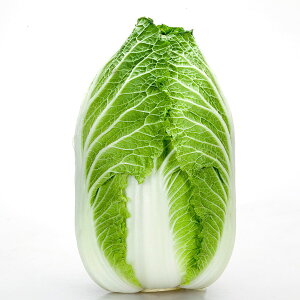 e c JlRz ނ nNTC ybg5000 JlRc ؂̎      ؂̎  q ؎ s 