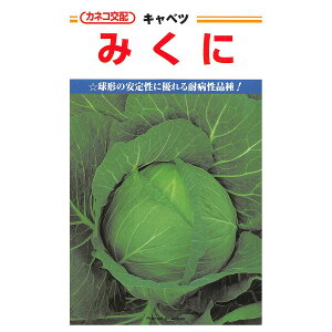 e c ݂ Lxc ybg 5000 JlRz JlRc ؎q Lxcq ؎ q    q Lxc  ؂̎