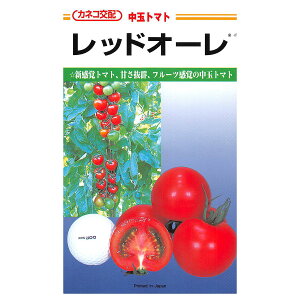 e c bhI[ ʃg}g 1000 JlRz JlRc ؎q g}g  g}g q ʃg}g   q   ؂̎ g}g̎