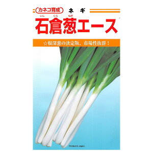 e c ΑqKG[X 2dl JlR琬 JlRc ؎q    q ؂̎  lM   lM q K  K q