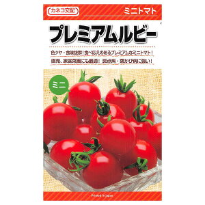 e c v~Ar[ ~jg}g 1000 JlRz JlRc ؎q g}gq ~jg}g q ~jg}g     q ؂̎