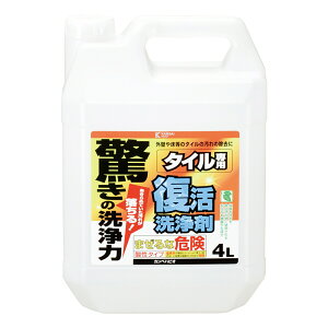   ^Cp 4L JynsI ̐ | | N[i[ O      C ΂C 