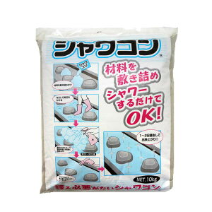 RN[gC VR O[ 10kg ×2 ƒ뉻w RN[g C RN[gC  b n yǍ V[邾OK