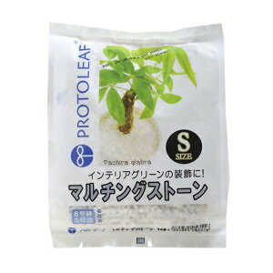 }`OXg[ zCg S 1kg vg[t }`O CeAO[ ϗtA   }`O ϐ ϗtA ϐ