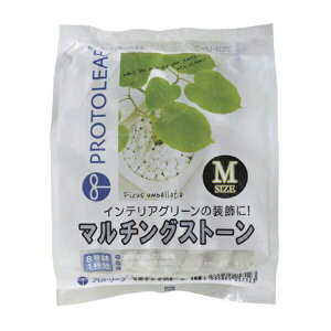 }`OXg[ zCg M 1kg vg[t }`O CeAO[ ϗtA   }`O ϐ ϗtA ϐ