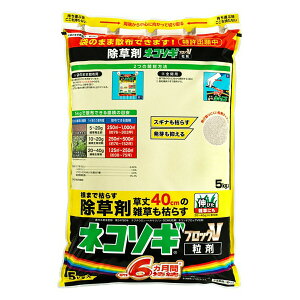 i摜