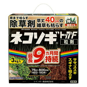 i摜