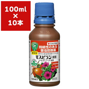 E Xs t 100ml×10{ KINCHO| E _ E Xs E ђ E AuV E Q E Q h Q 쏜