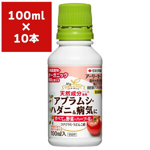 EEۍ A[[Z[t 100ml×10{ KINCHO| E _ E AuV E Eۍ _ Eۍ ǂ񂱕a Eۍ n_j 쏜 aC \h