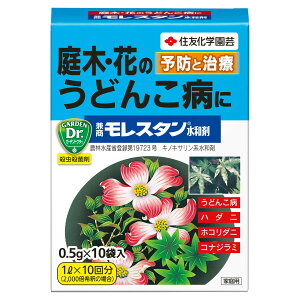 EEۍ  X^ a 0.5g×10ܓ KINCHO| E _ E Eۍ _ Eۍ n_j 쏜 zR_j 쏜 aC \h aC  M6