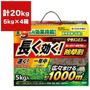  NTmEX 5kg×4 KINCHO|     Ɩp    NTm  Gh G΍ G h