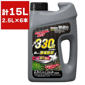  ގKOV[ GT 2.5L×6{ KINCHO|   Ɩp  t  ގ  OzT[g  OzT[gt