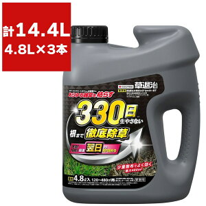  ގKOV[ GT 4.8L×3{ KINCHO|   Ɩp  t  ގ  OzT[g  OzT[gt