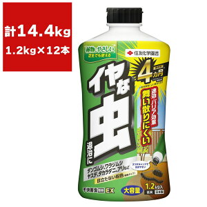 E sQEX 1.2kg×12{ KINCHO| E sQ E Q E A E W E _SV E Q 쏜 Q ގ