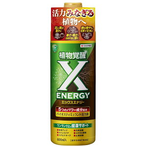 X-ENERGY 600ml KINCHO| Ao GbNXGiW[ A ͉t ϗtA ͉t  ͉t A  A  yP A͉t