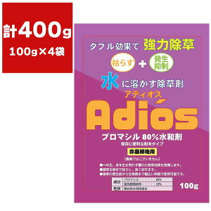  AfBIX u}V80 a 100g×4 VZC     u}V a ͏ u}V  u}Va M1
