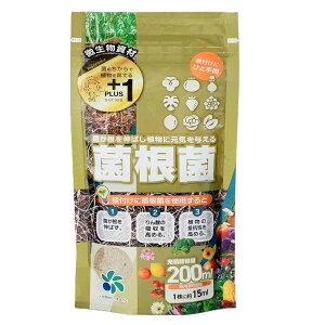 �ۍ��� 200ml ���R���p�Ȋw PLUS1�V���[�Y ���������� �v���X���� �ۍ��� �������i �ۍ��� ��������� �ۍ��� ���������� �o�� �ۍ��� �ϗt�A�� �ۍ��� M3
