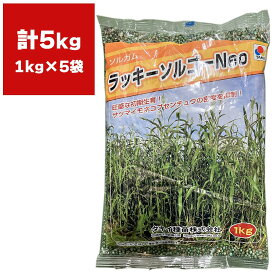 緑肥 ソルガム ラッキーソルゴーNeo 5kg (1kg×5袋) タキイ種苗 緑肥 種 緑肥 種子 ソルゴー 種 ソルゴー 種子 緑肥 業務用 種子 緑肥 業務用 種 ソルゴーの種