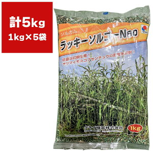 Δ \K bL[\S[Neo 5kg (1kg×5) ^LCc Δ  Δ q \S[  \S[ q Δ Ɩp q Δ Ɩp  \S[̎