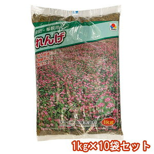 ΔEiϗp  1kg×10 ^LCc Δ   Δ  q 񂰂̎ 񂰂̎q Δ  Δ q 񂰎 Q  Q q