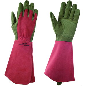 ���|�p��� with garden West County Rose ( �E�F�X�g�J�E���e�B�[���[�Y ) 431 ���r�[ XS�T�C�Y ���a�R�[�|���[�V���� ���