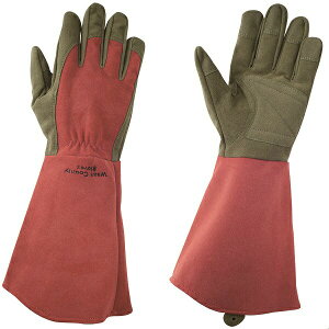 with garden West County Rose(�E�F�X�g�J�E���e�B�[���[�Y) ���r�[ M�T�C�Y ���a�R�[�|���[�V���� ���