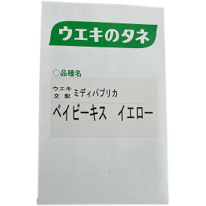 e cq pvJ xCr[LX CG[ (UN-502Y) 100 lA pvJ  F pvJ q pvJ̎    q ؂̎