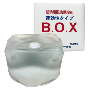 Ap_f ^Cv zEfܗL B.O.X r[I[GbNX 10L ۋgY BOX _f   i  Z W y  _f Ɩp