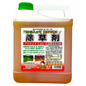  OzGLX t 10L ԏ镨Y  OzT[g    Ɩp  t  _o^i Gh G΍