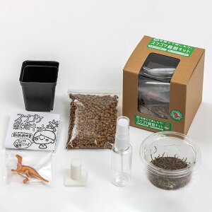 XiSP͔|Lbg rbNA[ XiSP ͔| RP ͔|  ͔| RP͔| ۍ͔| ۖ~ RP WI} RP CeA XiSP͔| XiSP