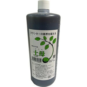 ͍ y (ǂ) 1L×2{ ZsB ͍ A ͍ o ͍  ͍ Ő ͍ A͍ ؊͍ o͍̊ ͉t 