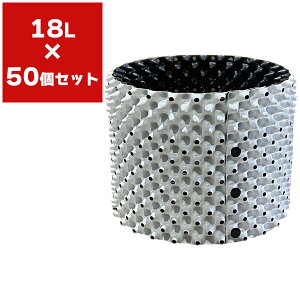 Aؔ [gvX|bg zCg 18L ×50 čH  ^ Aؔ e Ɩp |pi _Ǝ RootPlusPOT vX`bN