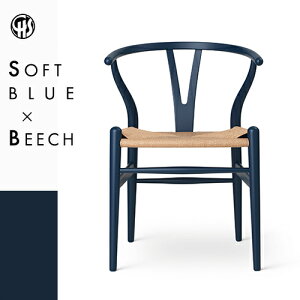 yKizY`FA CH24 ir[`ށEu[ (\tgh)Ei`y[p[R[hj