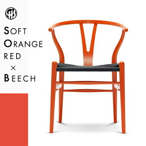 yKizY`FA CH24 ir[`ށEIWbh (\tgh)EubNy[p[R[hj