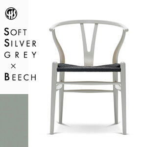 yKizY`FA CH24 ir[`ށEVo[O[ (\tgh)EubNy[p[R[hj