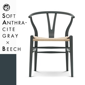 yKizY`FA CH24 ir[`ށEAXTCgO[ (\tgh)Ei`y[p[R[hj