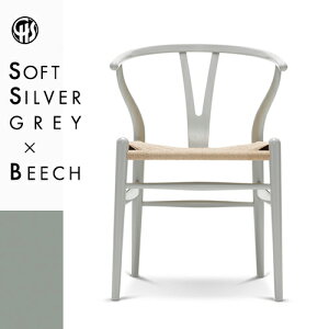 yKizY`FA CH24 ir[`ށEVo[O[ (\tgh)Ei`y[p[R[hj