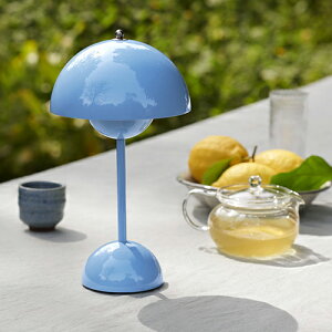 y݌ɂzTraditioniAhEgfBVj|[^uƖ FLOWERPOT VP9 MG t[|bg XCu[