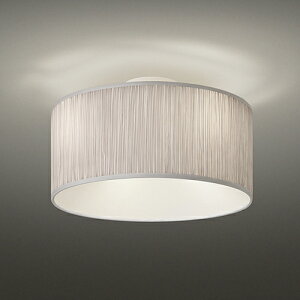 y[zYAMAGIWAi}MjV[OƖ BAUMNioEjT[N 450mm CgO[