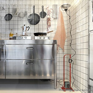 y݌ɋ͂zFLOSitXjtAƖ TOIO bhypvz