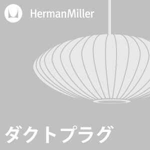 �y�_�N�g�v���O���H��zHerman Miller
