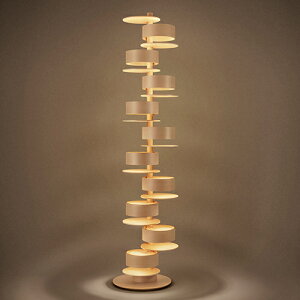 y[zHOMMAGE to FLW 2017 -PAPER TALIESINẼ^AZ - ΃fy󒍕iz