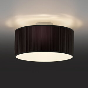 y[zYAMAGIWAi}MjV[OƖ BAUMNioEjT[N 450mm ubN