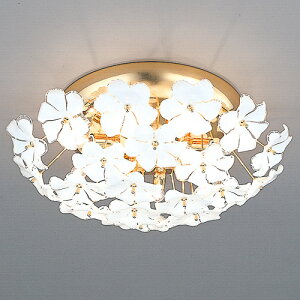 y[zYAMAGIWAi}MjB.C. SAN MICHELEiT~bVFj[171C2015]y󒍕iz