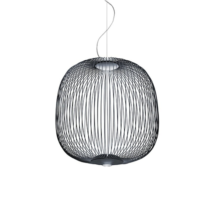 楽天市場】FOSCARINI(フォスカリーニ) ペンダント照明 SPOKES 