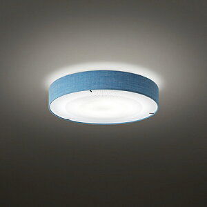 y[zYAMAGIWAi}MjV[OƖ REVE [ 555mm u[