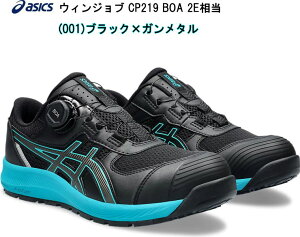 AVbNXƗpCasicsWinJobCP219ubN×K^