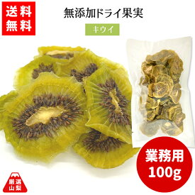 【送料無料】 山梨県産 無添加ドライ果実 キウイ 業務用 100g ドライフルーツ 山梨乾燥果実工房なかむら